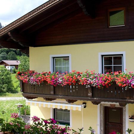 Appartement Gleiminger Forstau  Buitenkant foto