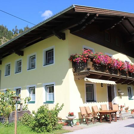 Appartement Gleiminger Forstau  Buitenkant foto