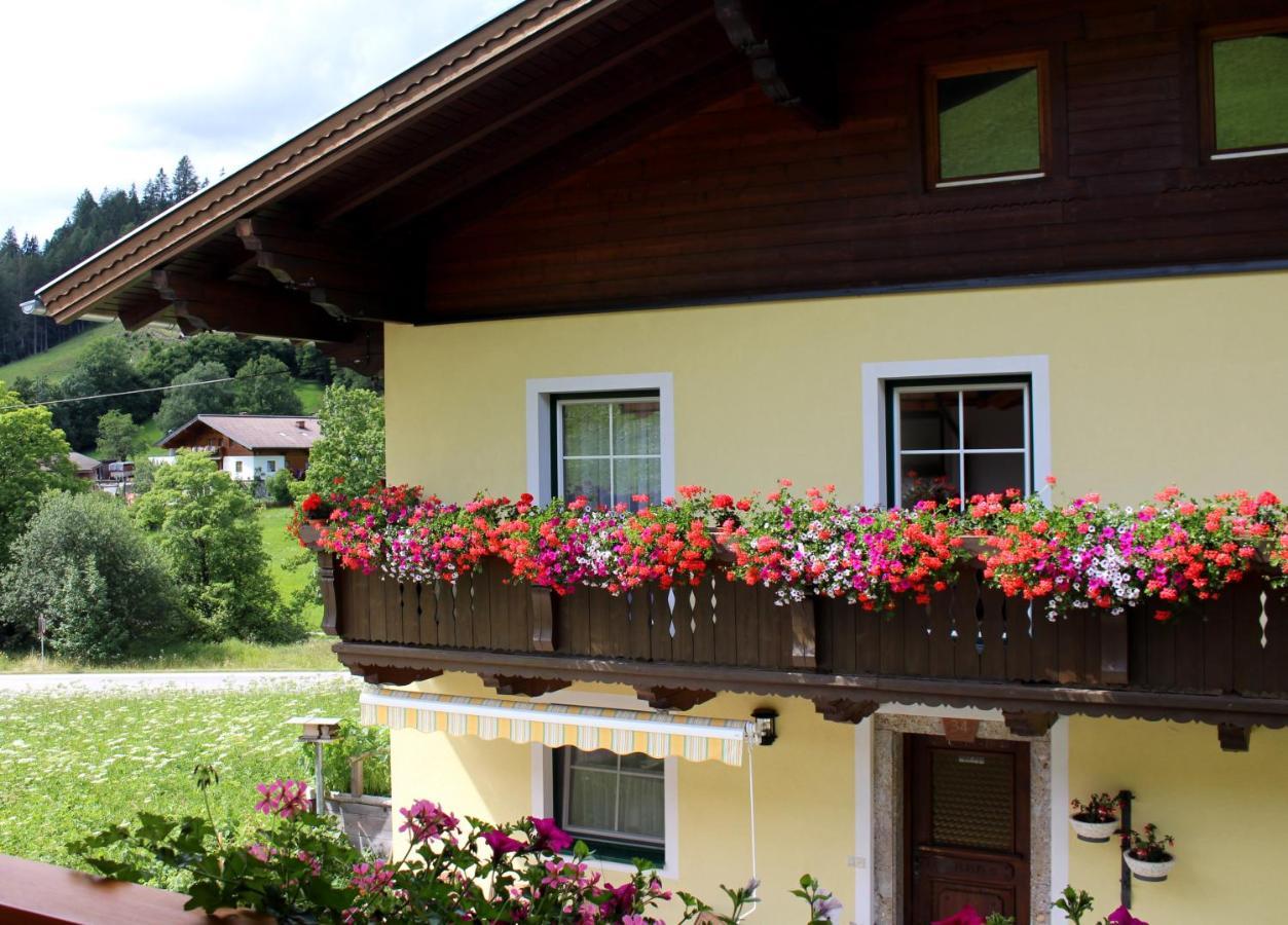 Appartement Gleiminger Forstau  Buitenkant foto